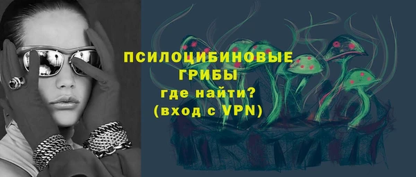 МДПВ Алзамай